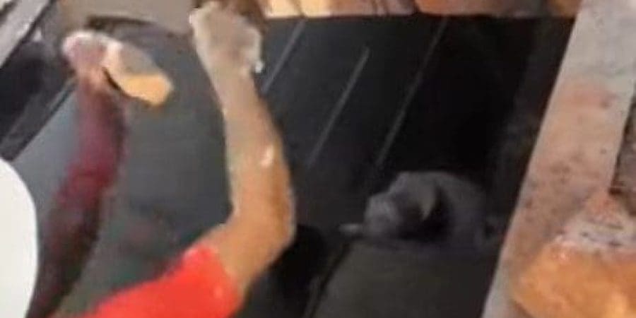 من الفيديو