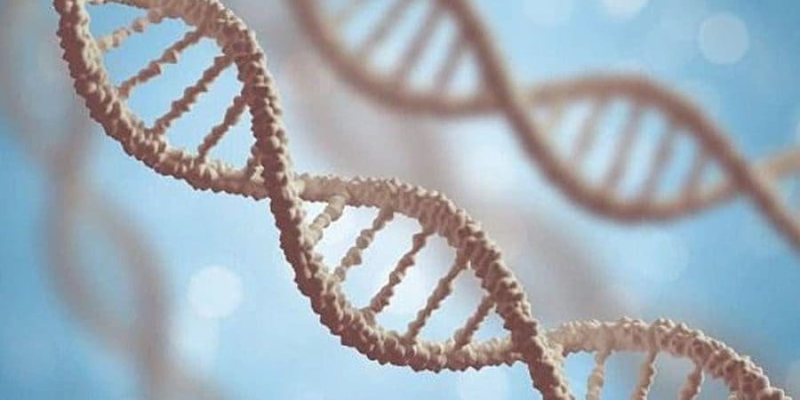 الجين يفاقم المخاطر على الجهاز التنفسي عند أجناس بعينها حال الإصابة بكورونا