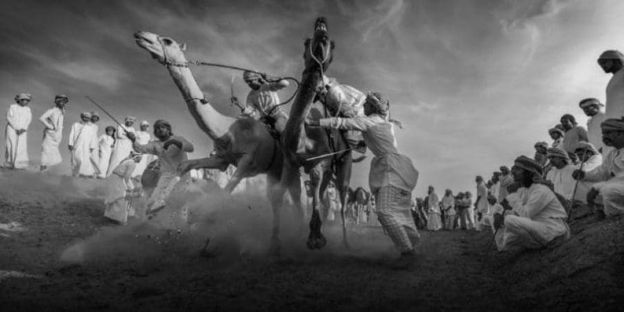 تكريم الفائزين في "البينالي" الدولي للتصوير بالأسود والأبيض