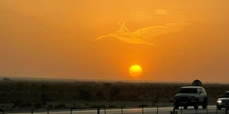طفل على ظهر طير  ـ أرشيفية
