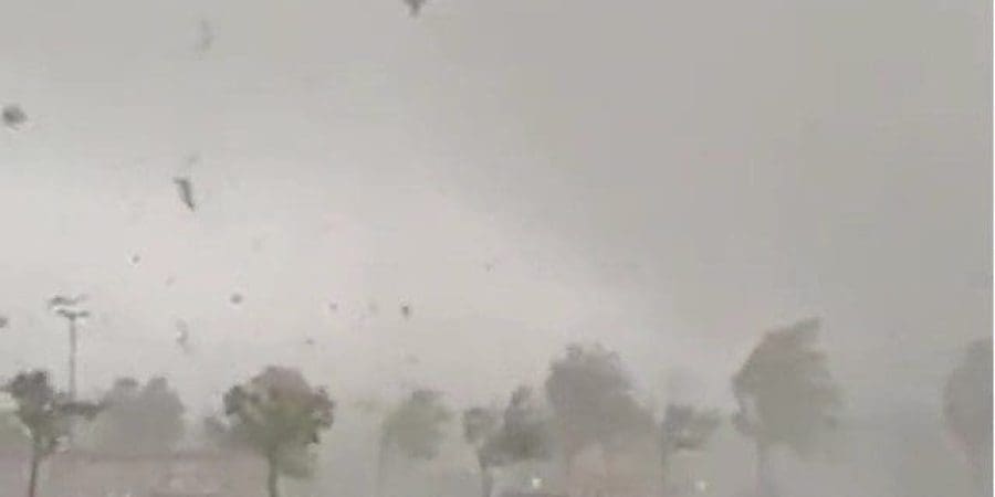 مقطع من الفيديو