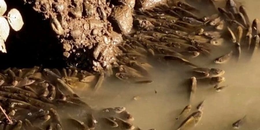 مقطع من الفيديو