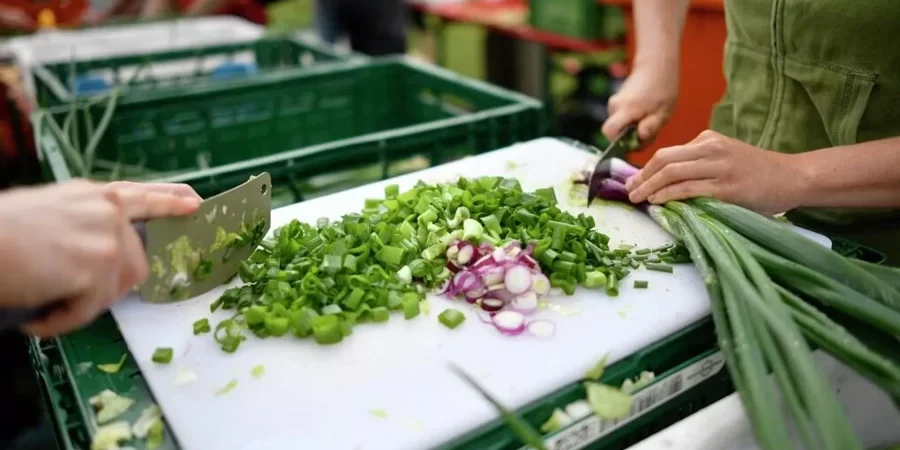 البصل الأخضر