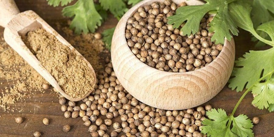 عشاق الكزبرة يعتبرونها ضرورية في أطباقهم، ومن بين سكان الشرق الأوسط فإن 3% فقط يقولون إنهم لا يحبونها