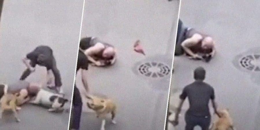 ظهر كأنه يستميت لحمايته