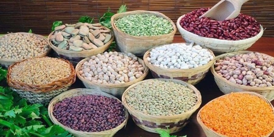 البقوليات تحتوي على الكثير من المغذيات وهي مأكولات اقتصادية تدخل في أي نظام غذائي متوازن