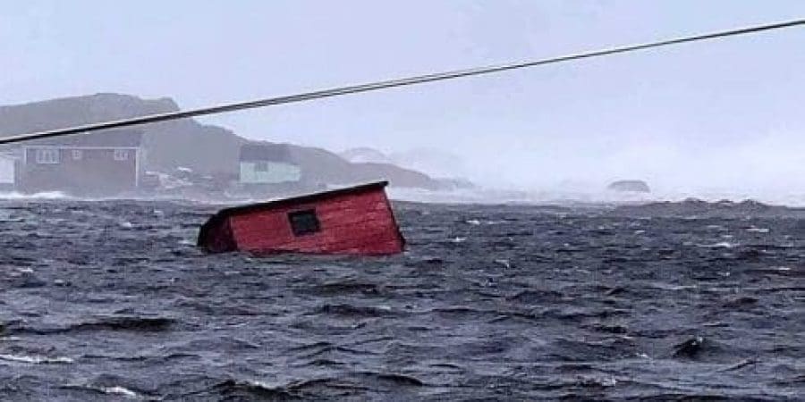 مقطع من الفيديو