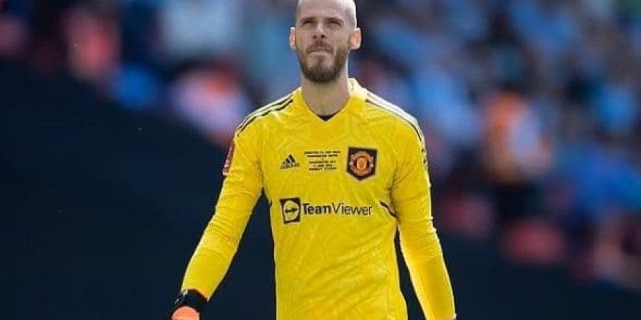 ديفيد دي خيا