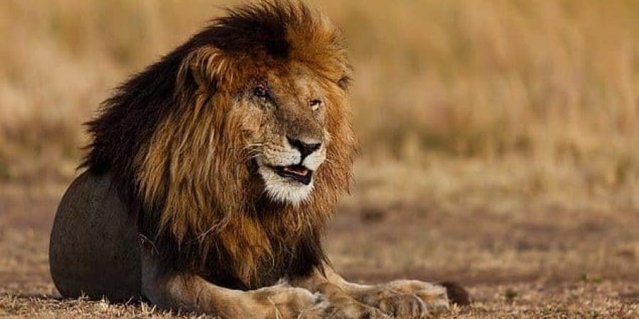 44346801-9697121-image-a-48_1623939586706