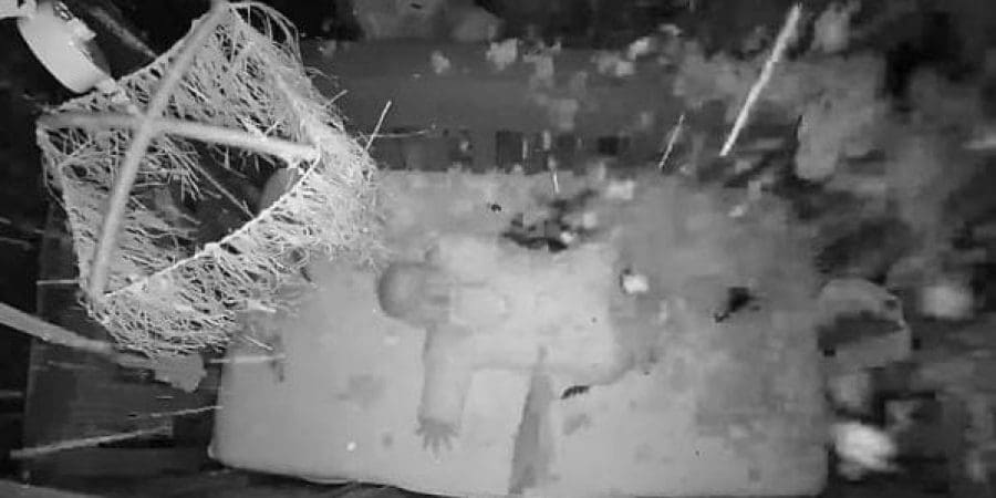 45145157-9764757-image-a-9_1625663624062