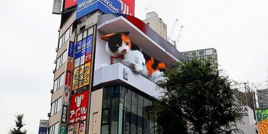 قطة عملاقة بالأبعاد الثلاثية 3D