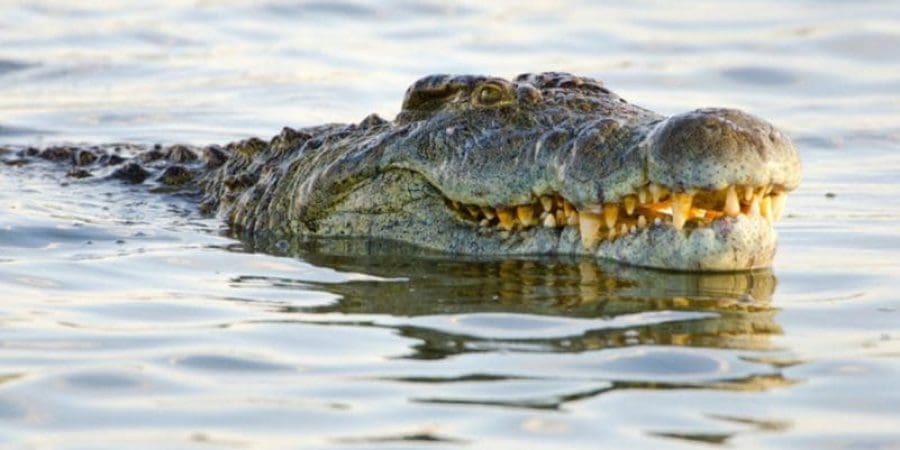 تعبيرية (آيستوك)