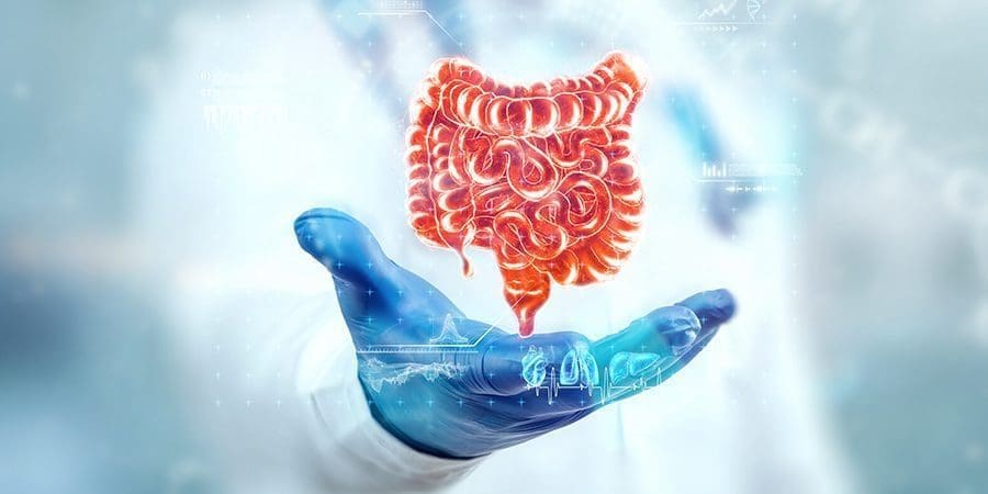 جرثومة المَعِدة، تعبيرية