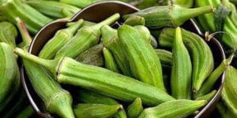 بامية | تعبيرية