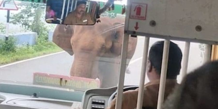 48443153-10032247-image-m-2_1632732479008