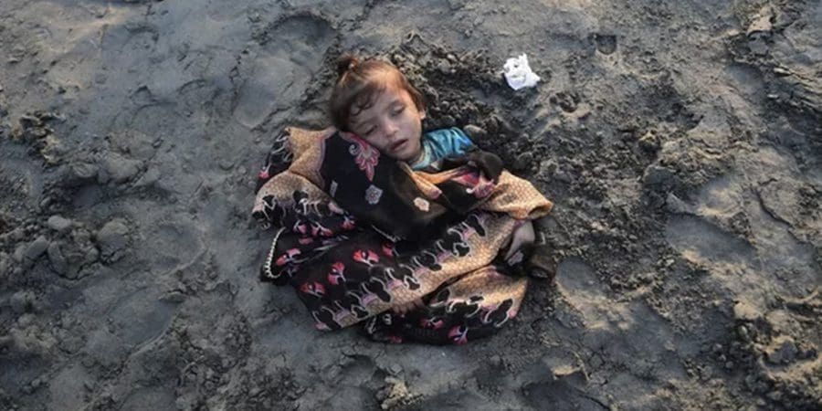 صور من العالم
