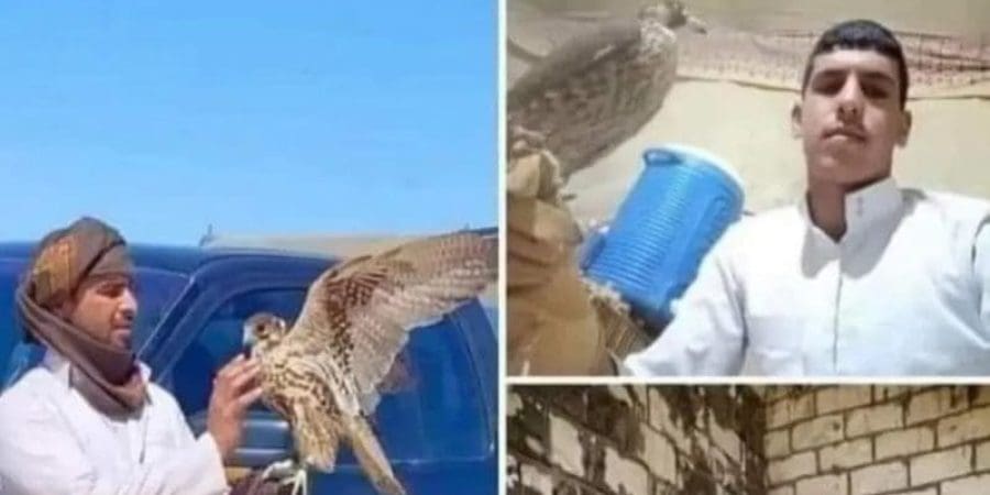 ضحايا صحراء مطروح