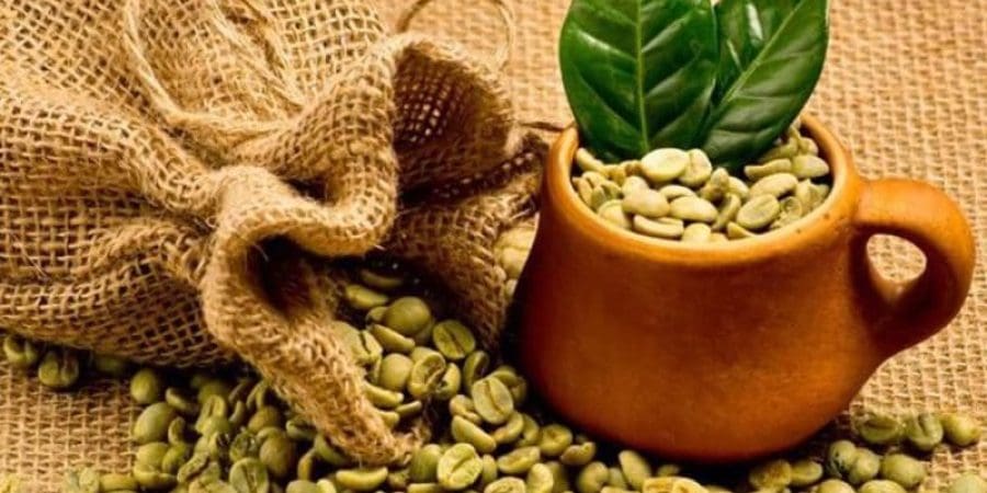 حبّات البن لم تعد تستخدم في صناعة القهوة فحسب