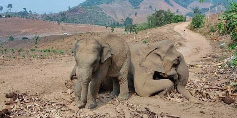 مقطع من الفيديو