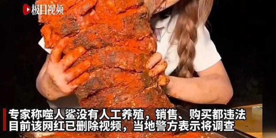 مقطع من الفيديو