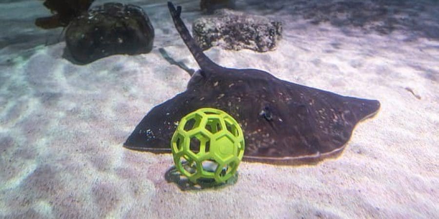 مقطع من الفيديو