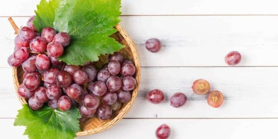 تناول حصة واحدة من العنب يزود الجسم بحوالي 90 سعرة حرارية