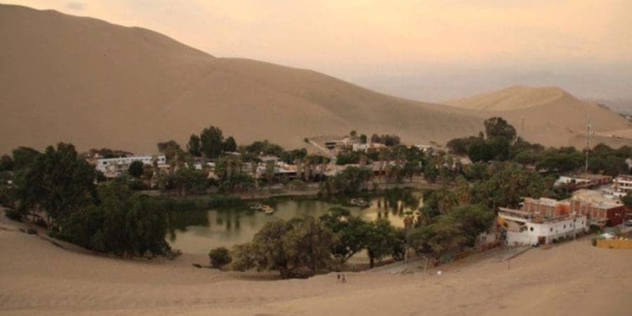 الأزمة الصحية العالمية لعبت دورًا في الانتقال الجماعي من المدن للمناطق الأقرب للطبيعة