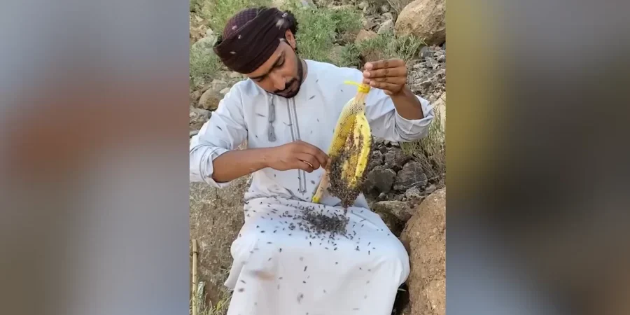 المهندس العُماني أسعد الخاطري