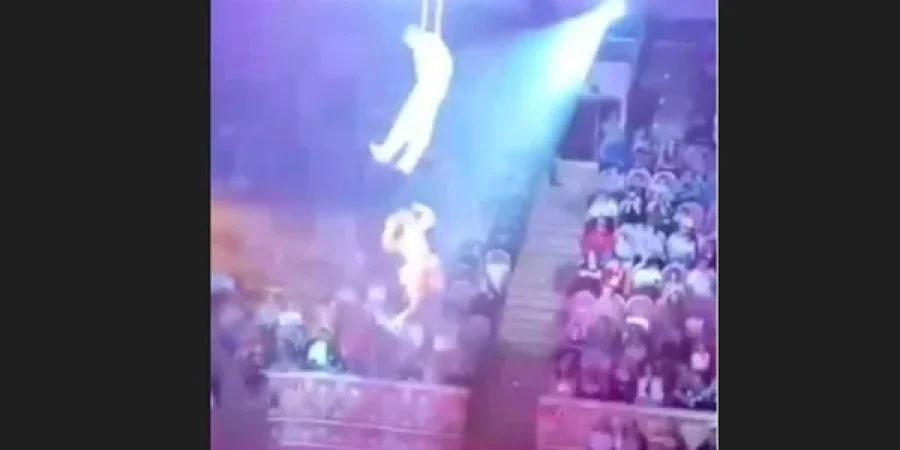 مقطع من الفيديو