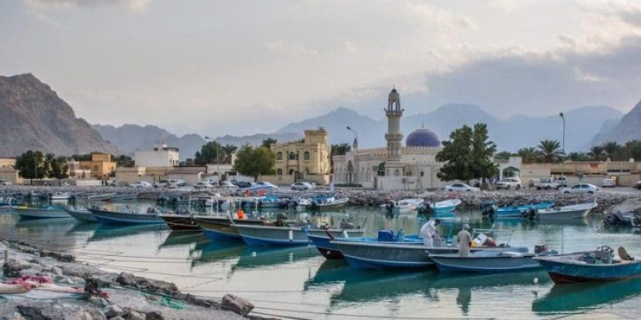 مدينة خصب