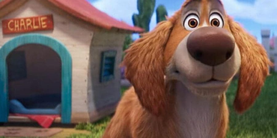 CHARLIE THE WONDERDOG