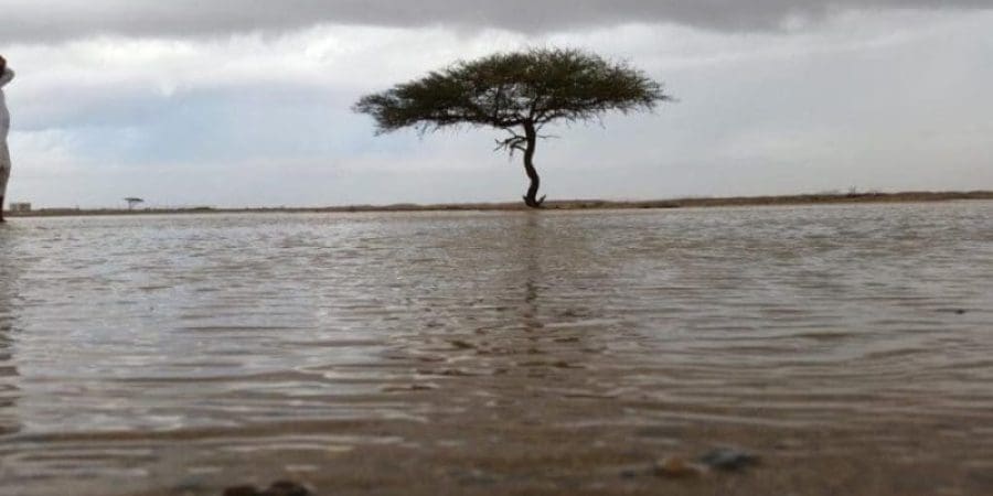 وادي عويفية | أرشيف التأمل