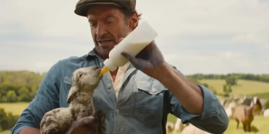 THE SHEEP DETECTIVES