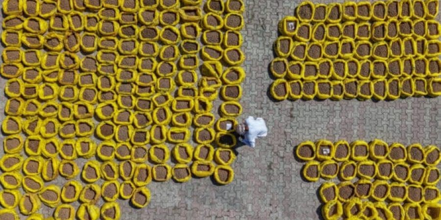 بلديةُ ظفار تُطلق حملة نثر 10 ملايين بذرة لتنمية غابات الخريف