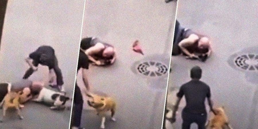 ظهر كأنه يستميت لحمايته.