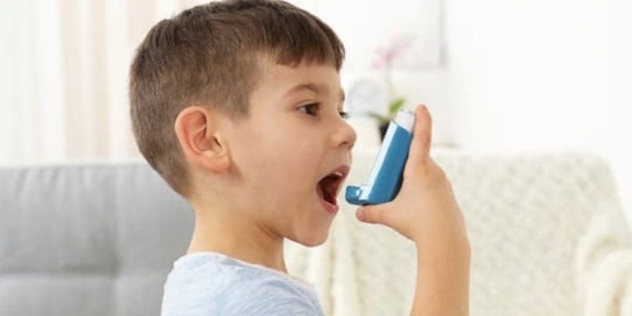 tbl_diseases_disease_905_17132f267ee-aee2-434c-9645-d0d22907fea2