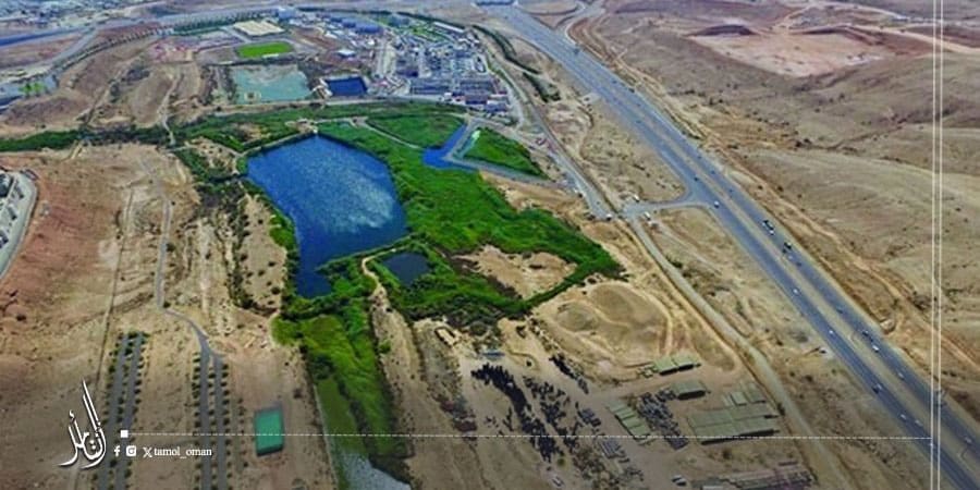 بحيرات الأنصب