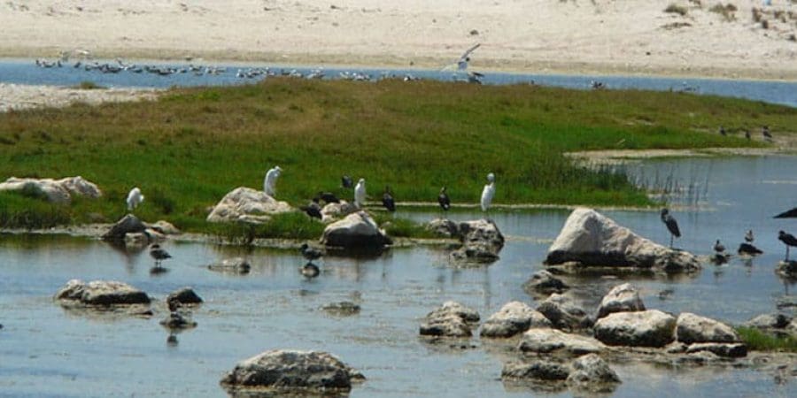 صورة أرشيفية لمحمية خور المغسيل